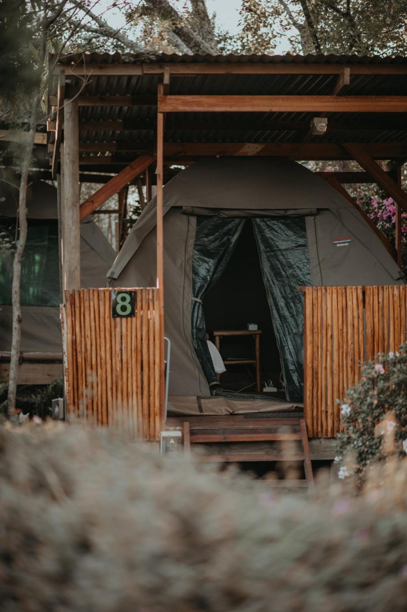 Storms River Forest Lodge Stormsrivier Exterior photo