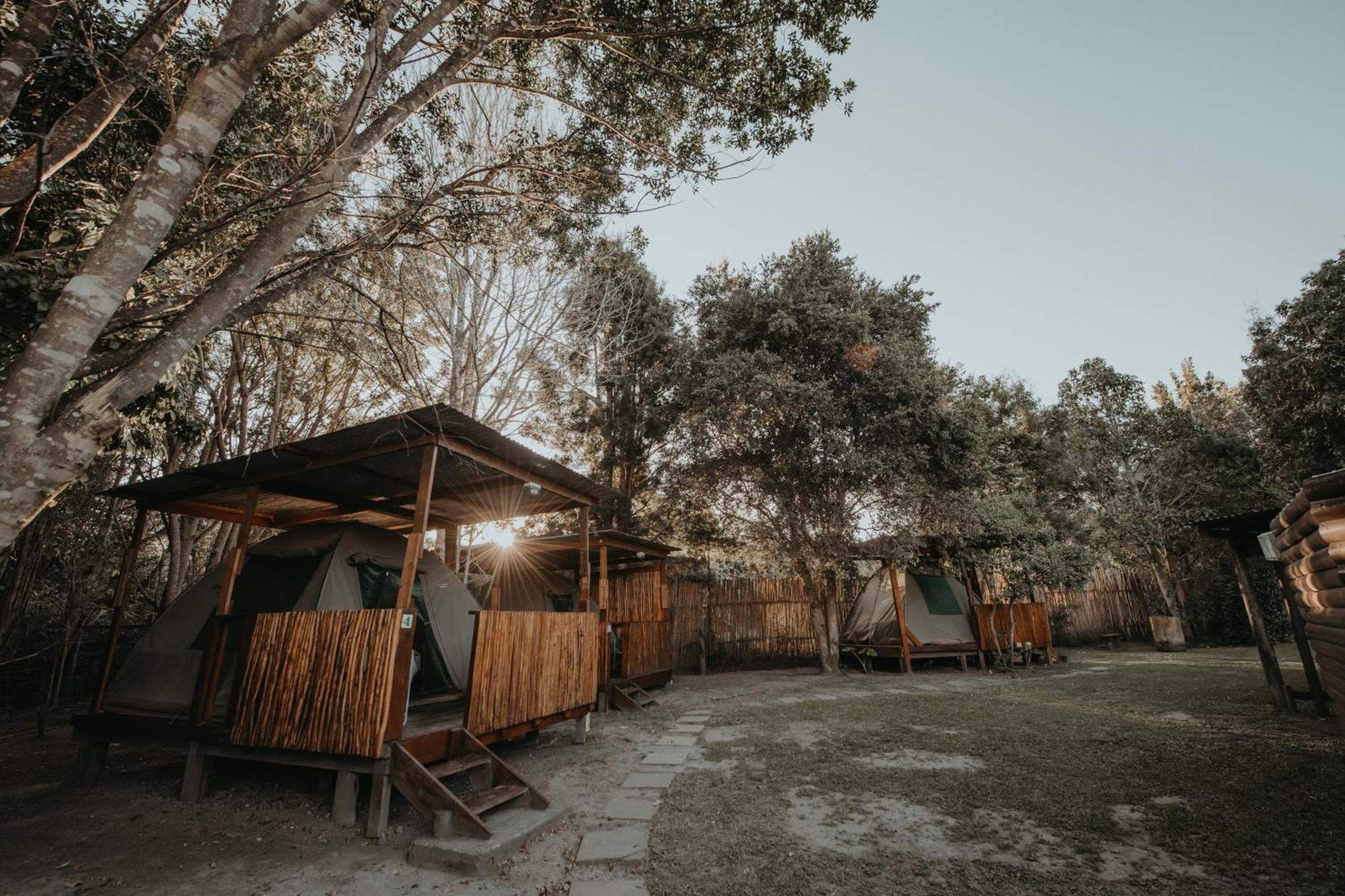 Storms River Forest Lodge Stormsrivier Exterior photo
